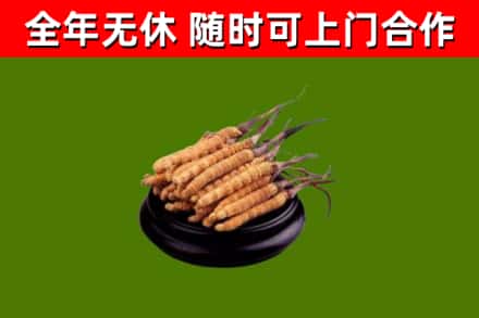 黑河市烟酒回收冬虫夏草.jpg